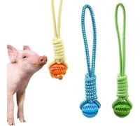 Dnoifne Lot de 3 Balles Distributeurs de Friandises pour Cochons Domestiques - Accessoires pour Mini-Cochon, Jouet de Fouille Robuste en Plastique avec Corde - Jouets pour Cochon de Compagnie