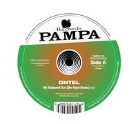 Dntel - My Orphaned Son/It's Only