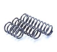 DNVGJUP Lyuduo-Ressorts de Compression Long Spring de Compression, diamètre de Fil de 2,5 mm * Diamètre de 30 mm de Sortie * 60-200mm Longueur, 2pcs, Robuste et Polyvalent(2.5x30x200mm)