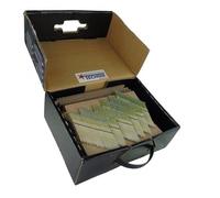 DNW Lot de 2 200 clous à bande 34° - 3,1 x 90 mm - galvanisés et lisses - Tête complète - Eurocode 5 & CE - Avec 2 gaz