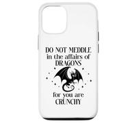 Do Not Meddle in The Affairs of Dragons Book Dragon Fantasy Coque pour iPhone 12/12 Pro