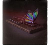 Picturesque – Do You Feel O.K? – CD