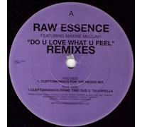 Do You Love What You Feel Remix - Raw Essence 12"