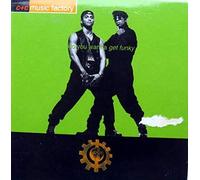 Do You Wanna Get Funky (2 Versions, 1994) [Import]