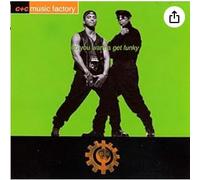 Do You Wanna Get Funky