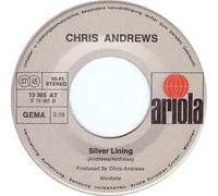 Do You Wanna Love Me/Silver Lining(7" Vinyl Single)(1974)(Ariola 13365 AT)