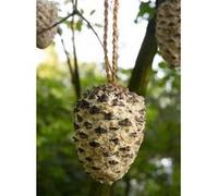 dobar Graines pour oiseaux suspendues cônes de pin 8 pcs, mélange de nourriture pour oiseaux, pommes de pin de nourriture pour oiseaux G