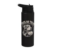 Dobermann Pinscher Stainless Steel Insulated Water Bottle