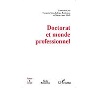 Doctorat et monde professionnel - Marie-Laure Vitali - L'harmattan - broché - Essai
