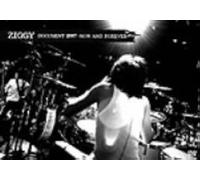 Document 2007 -Now And Forever- [Dvd]