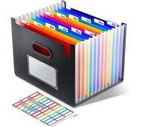 Document Sorter,12 Pockets Expandable,Vertical And Open On Top,Administrative Paper Storage,Portable Monthly Invoices Organizer,Colored Tabs,Letter/A4-Black