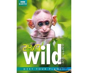 Documentary - 24/7 Wild
