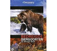 Documentary - Bedreigde Diersoorten de Bruine Bee