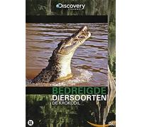 Krokodil – Discovery – Documentaire