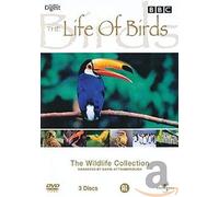 Documentary - Life of Birds