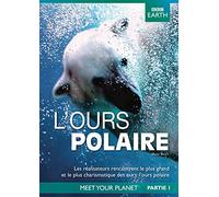 Documentary - L'ours Polaire