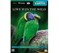 Documentary - Love is in The Wild [Import]