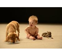 (Documentary) - Secret Life Of Babies [Edizione: Giappone]