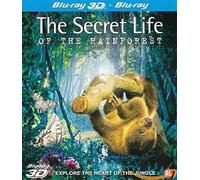 B-SECRET LIFE OF THE RAINFOREST 3D-VN