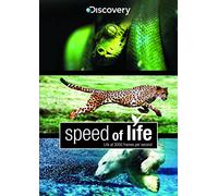 Documentary - Speed of Life [DVD] [2 Discs]