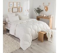 DODO - Couette 4 Saisons Protection Active Anti-Acariens 200x200 cm - 2 Couettes Incluses - pour Lit 2 Personnes - Enveloppe 100% Coton - Garnissage 100% Thermocomfort Polyester - Lavable à 40°C