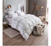 DODO - Couette duvet Tradition CHAUDE - 90% Duvet d'Oie - 240 x 260 cm