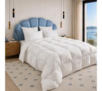 DODO | Couette Naturelle 60% Duvet de Canard - Tempérée