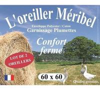 DODO Lot de 2 Oreillers MERIBEL Plumettes 60x60cm