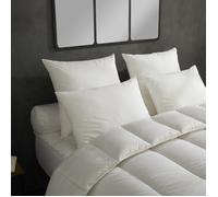 Dodo Lot De 2 Oreillers Micro Douceur - Moelleux - 60 X 60 Cm