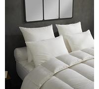 DODO - Lot de 2 Oreillers Micro Douceur Moelleux 60x60 cm - Enveloppe 100% Coton - Garnissage Synthétique en Polyester Fibre Creuse Siliconée - Lavable en Machine à 40°C