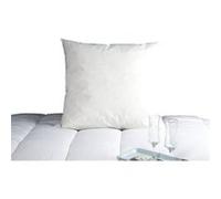 DODO Oreiller Morzine Duvet d'oie Anti-acariens 65x65 cm Blanc