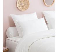 DODO - Oreiller Ferme Toucher Duvet 65x65 cm - Enveloppe 100% Coton Percale - Garnissage Synthétique 100% Polyester Fibre Micro Résiliente - Forme Carrée pour Soutien Optimal - Lavable à 40°C