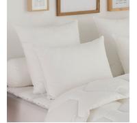 DODO - Oreiller Plumes Très Ferme 60x60 cm - Maintien Supérieur - Anti-Acariens - Enveloppe 100% Coton Naturel - Garnissage 100% Plumettes de Canard - Lavable en Machine à 40°C