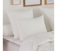 DODO - Oreiller Plumes Très Ferme 60x60 cm - Maintien Supérieur - Anti-Acariens - Enveloppe 100% Coton Naturel - Garnissage 100% Plumettes de Canard - Lavable en Machine à 40°C