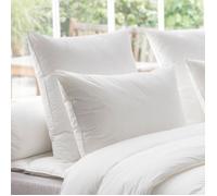 Dodo Oreiller Thermoduv 70% Duvet D'oie Medium - 50 X 70 Cm