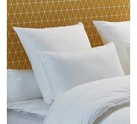 DODO - Oreiller Thermorégulateur Climarelle Medium 65 x 65 cm - Enveloppe 100% Coton - Garnissage Synthétique - Technologie Thermorégulatrice - Maintien Moelleux - Lavable en Machine à 40°C