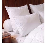 DODO - Oreiller Tradition Canard - 50% Duvet - Medium - 50 x 70 cm