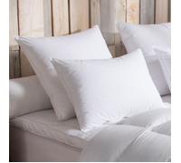 DODO - Oreiller Tradition Oie 65x65 cm - Soutien Moelleux - 90% Duvet d'oie | Anti-acariens - Dormeurs sur le Ventre ou le Dos - Enveloppe 100% Percale de Coton - Confort douillet - Lavable 40°C