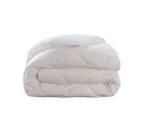 DODO - Pack Couette Tempérée 140x200 cm + 1 Oreiller Medium 60x60 cm - pour Lit 1 Personne - Anti-Punaises - Circulation de L'Air - 100% Coton - Garnissage Synthétique 300g/m² - Lavable à 40°C