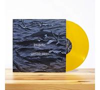 Dodos, the - Certainty Waves