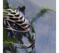 Doell, Jason - Becoming in Shadows of Being Touched [Import]