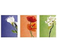 DÖRR Album Slim Jumbo 3 Flowers 29 x 29 cm