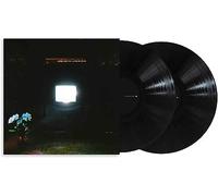 Does It Look Like I'm Here ? Vinyle