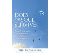 Does the Soul Survive?: A Jewish Journey to Belief in Afterlife, Past Lives & Living With Purpose