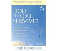 Does the Soul Survive by Elie Rabbi Elie Kaplan Spitz Kaplan Spitz Elie Rabbi Elie Kaplan Spitz Kaplan Spitz (Auteur)