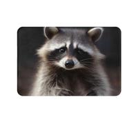 DOFFO Tapis de porte d'intérieur avec imprimé raton laveur mignon - Antidérapant - 40,6 x 61 cm - Tapis de bain en flanelle - Tapis de bienvenue pour porte d'entrée