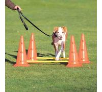 Dog Activity Obstacles, Set 2 Pcs - Ø 30 X 50 Cm, 100 Cm, Orange & Jaune