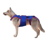 Dog Back Brace Support, Dogs Back Brace Helps Small Dogs, D Ring Reflective Strips Dogs Back, Dog Back Brace Support Rehab, Pet Support Harness D Ring Reflective Strip, Easy to Use, Portable for Dogs