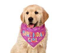 Dog Bandanas, Doggy Birthday Boy Scarf, Soft Triangle Neckwear, Cute Bone Design Accessory, Stylish Adjustable Pet Supplies for Small Medium Dogs Holiday Celebration