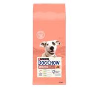 Dog Chow Croquettes Sensitive au saumon pour chien adulte – 14 kg